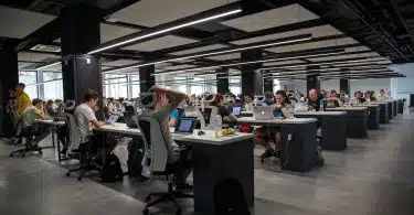 people doing office works
